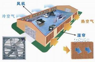 新型厂房节能通风降温解决方案 水帘风机系统——原理、优势与高清实图解析